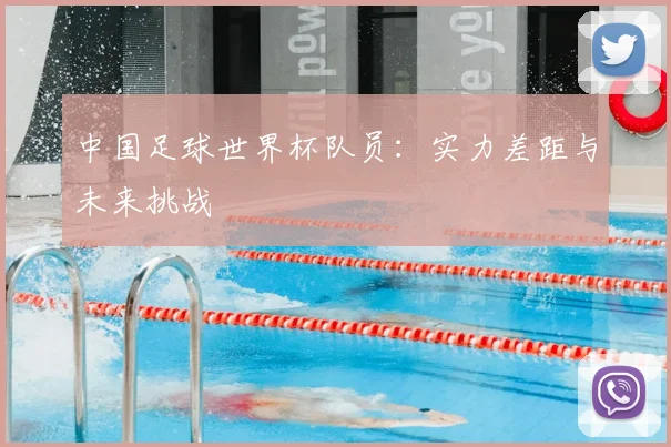 中国足球世界杯队员：实力差距与未来挑战