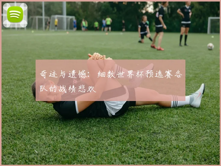 奇迹与遗憾：细数世界杯预选赛各队的战绩悲欢