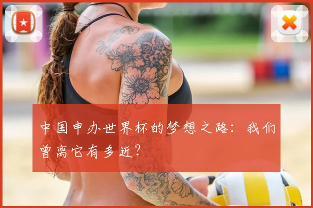 中国申办世界杯的梦想之路:我们曾离它有多近?