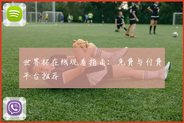 世界杯在线观看指南:免费与付费平台推荐