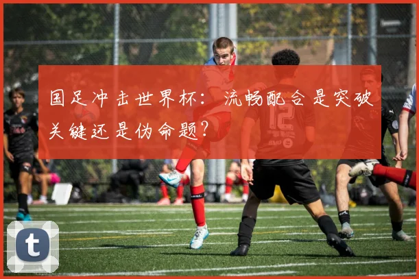 国足冲击世界杯:流畅配合是突破关键还是伪命题?