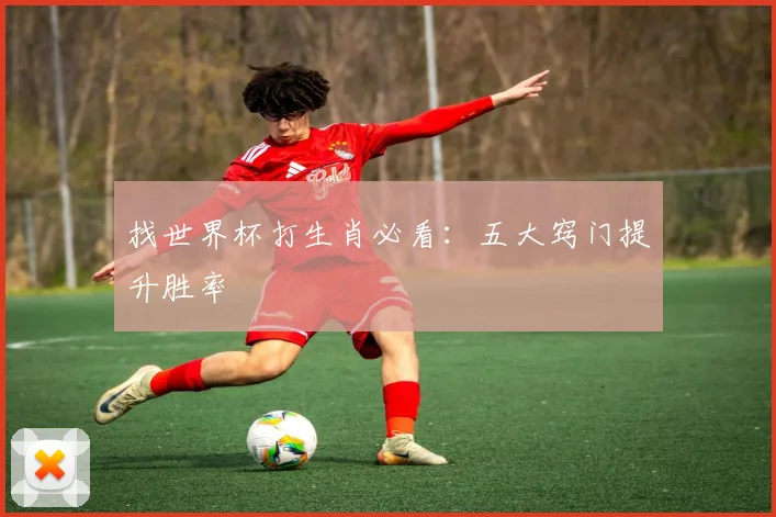 找世界杯打生肖必看：五大窍门提升胜率